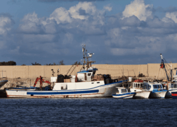 ammortizzatori sociali pesca cisoa