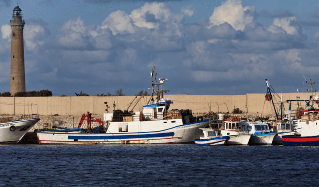 ammortizzatori sociali pesca cisoa