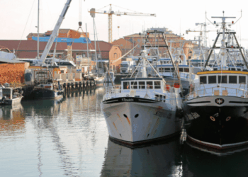 aumento prezzo gasolio pesca