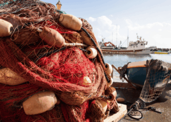 aumento prezzo gasolio pesca