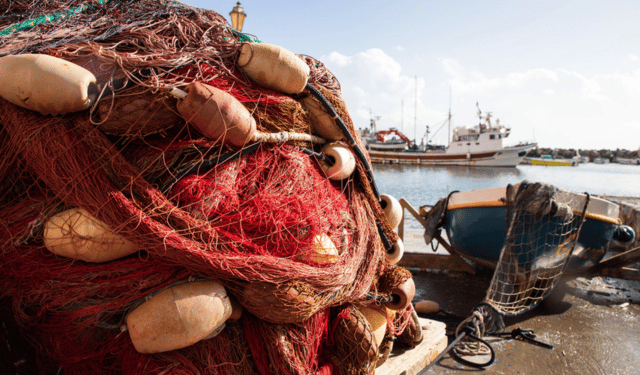 aumento prezzo gasolio pesca