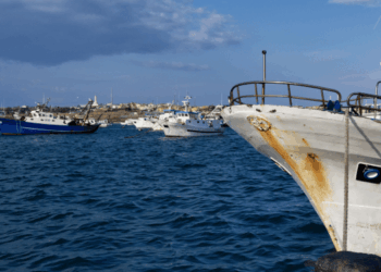 caro gasolio pesca europea