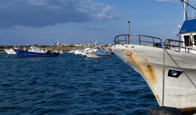 caro gasolio pesca europea