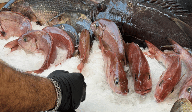 Local seafood products: turning consumer interest into value