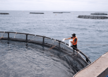 costo del mangime in acquacoltura