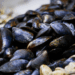 cozze italiane sicurezza e tracciabilità