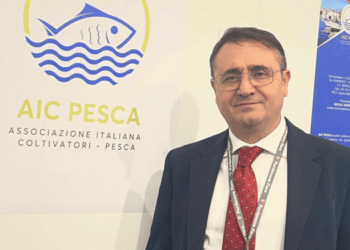 credito imposta carburante pesca