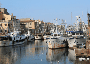 crisi delle vongole lupino nell’Alto Adriatico