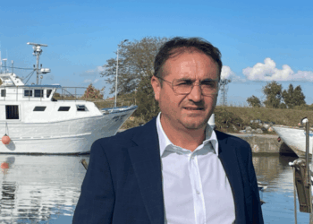 ddl mare pesca italiana