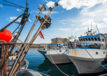 ddl valorizzazione della risorsa mare pesca