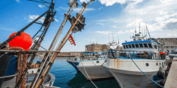 ddl valorizzazione della risorsa mare pesca