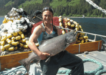 pesce dell’Alaska selvaggio e sostenibile