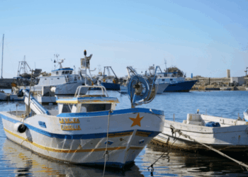 piccola pesca costiera