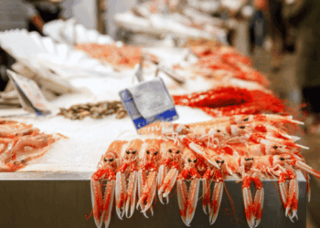settore ittico europeo dopo pandemia Brexit e guerra Ucraina