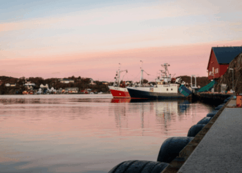 tonno rosso Norvegia