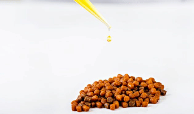 trota iridea omega-3