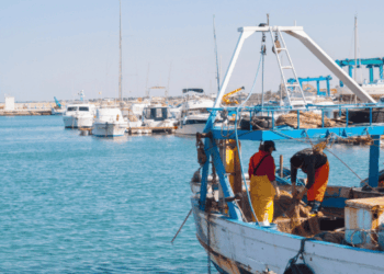 uscita definitiva delle imbarcazioni a strascico