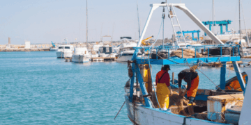 uscita definitiva delle imbarcazioni a strascico