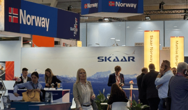 stoccafisso norvegese sostenibilità