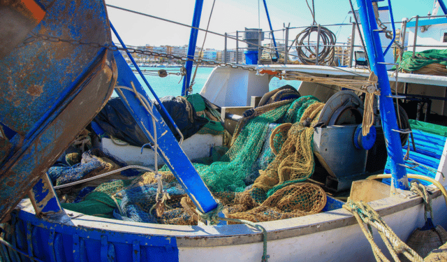 Fermo pesca 2025