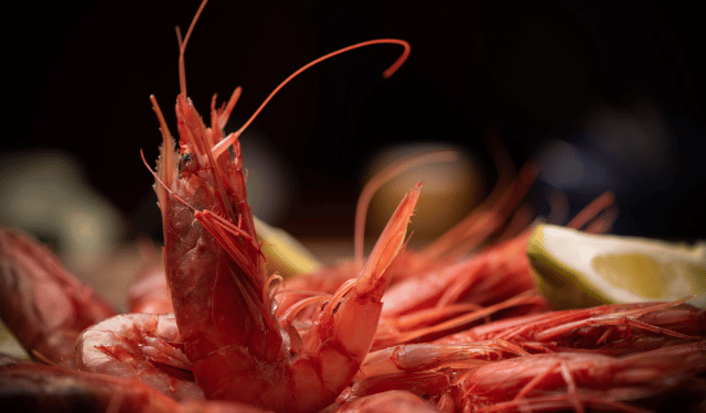 Mazara del Vallo Red Prawn Gains Chefs’ Recognition