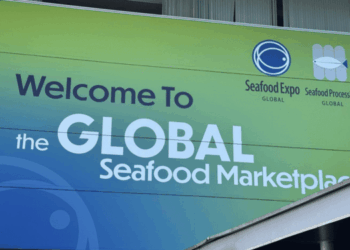 Gestione operativa del granchio blu in Italia