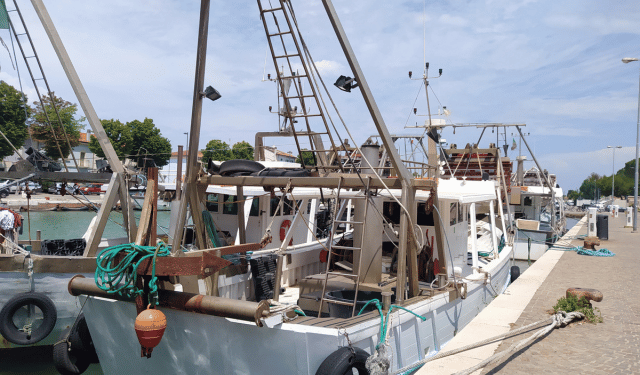Nuovo bilancio UE pesca 2028–2034