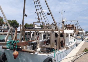 Nuovo bilancio UE pesca 2028–2034