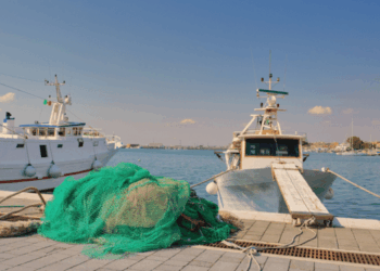 Italian fishing sector under structural pressure
