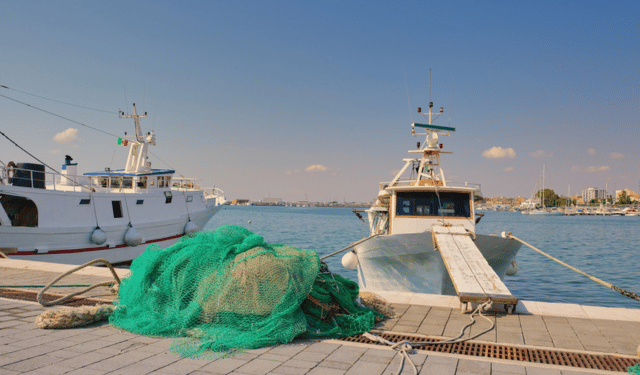 Italian fishing sector under structural pressure