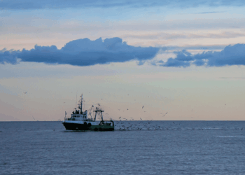 Pianificazione dello spazio marittimo UE pesca