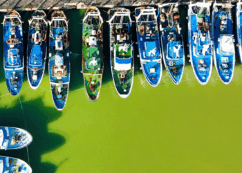 Piano OP Blue Sea gambero rosso Mazara