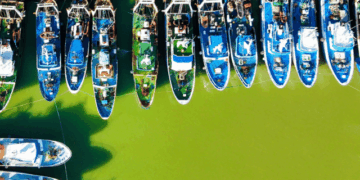 Piano OP Blue Sea gambero rosso Mazara