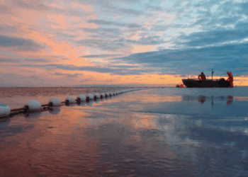 Prodotti ittici Alaska TUTTOFOOD 2026