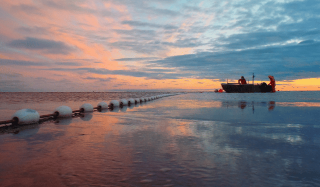 Prodotti ittici Alaska TUTTOFOOD 2026