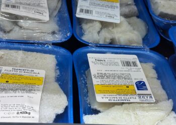 Proroga delle denominazioni ittiche del MASAF