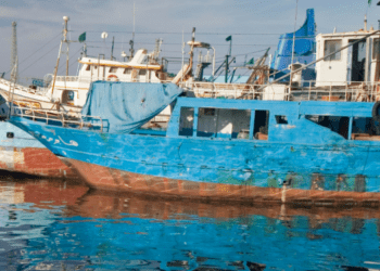 Zwara Fishing Expo 2026: Libya’s Blue Economy Shift