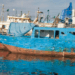 Zwara Fishing Expo 2026: Libya’s Blue Economy Shift