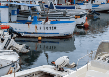 aiuti UE alla pesca