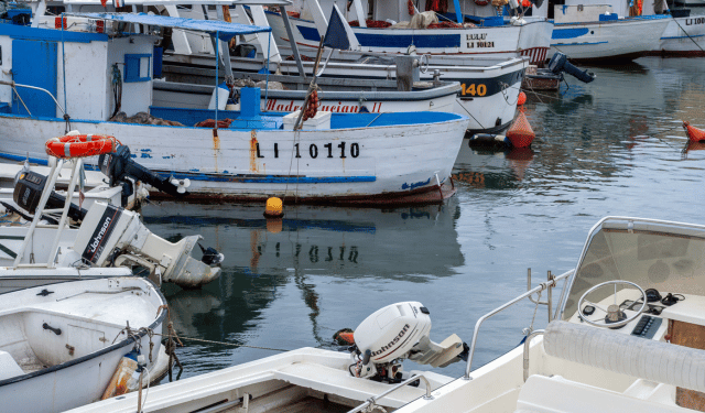 aiuti UE alla pesca