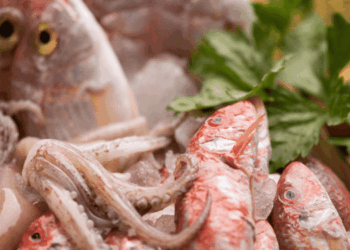 divario produzione ittica Italia