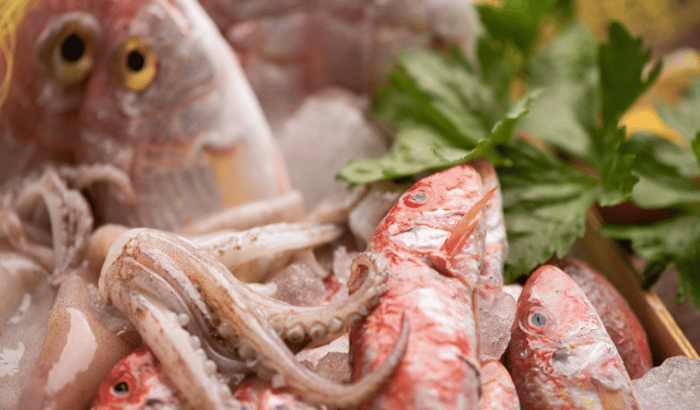 divario produzione ittica Italia