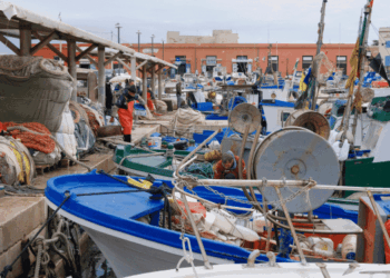 efficientamento energetico dei pescherecci