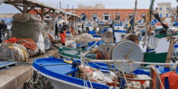 Fuel costs put Italian fishing engines in focus
