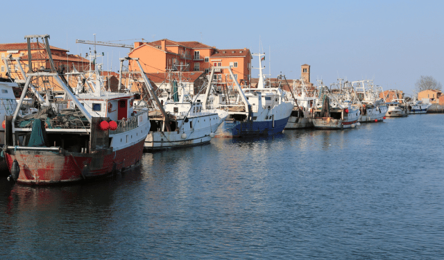 flotta peschereccia UE 2026