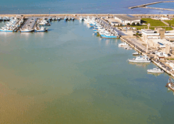 Mazara del Vallo red prawn: turning crisis into reform