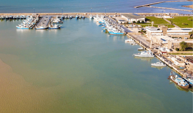 Mazara del Vallo red prawn: turning crisis into reform