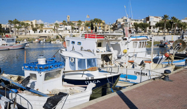 gasolio da pesca