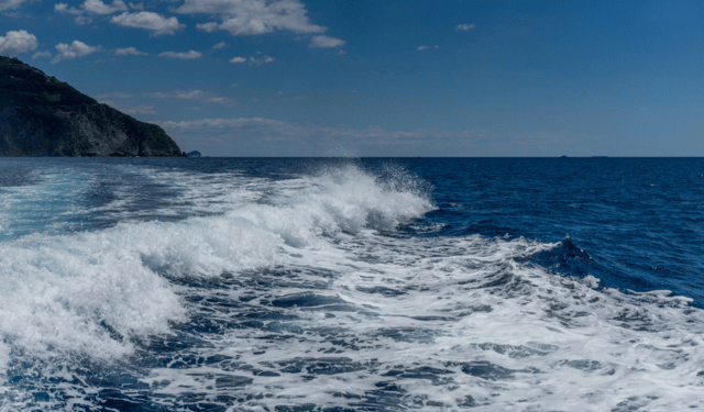 Marine Heatwaves Are Reshaping the Western Mediterranean Fishery
