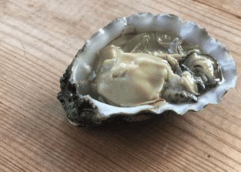 percezione del rischio ostriche mercato britannico